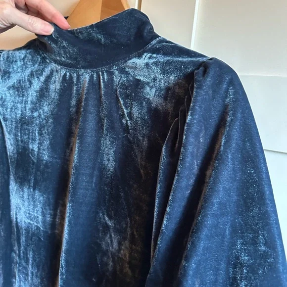 Free People Claudia Velvet Puff Sleeve Blouse - Picture 10 of 15